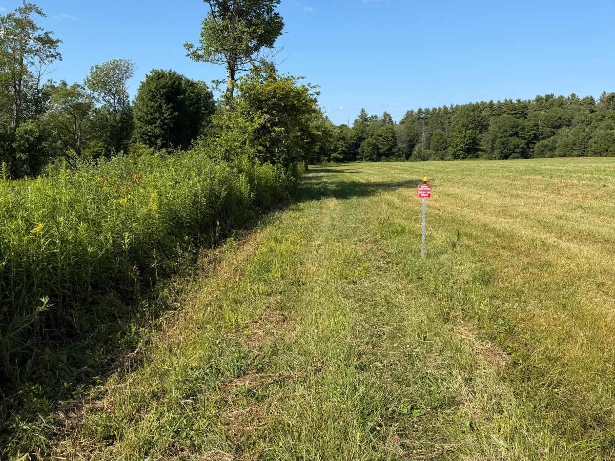 HMW Crofoot Hill–Mackay Trail photo 4