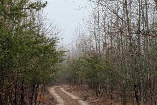 Johnson Lake Rd SE