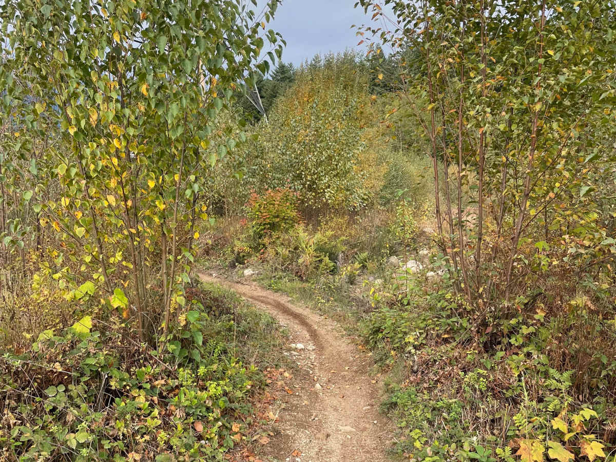 Motocross Track to Rob's Rip Connector photo 6