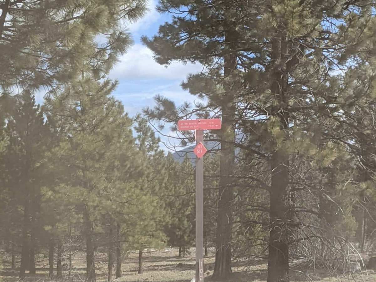 Lower Cross District Trail photo 3