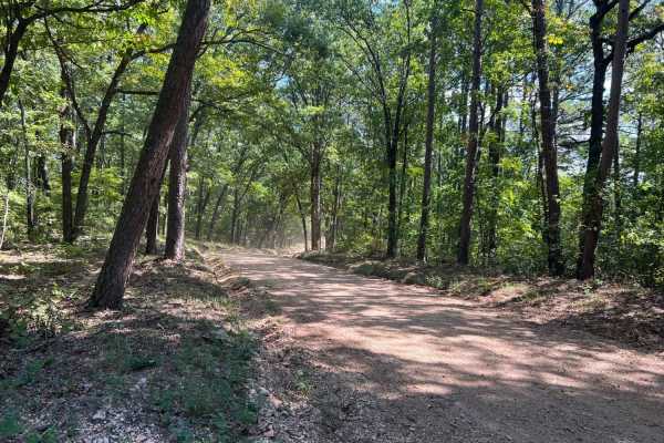 Smith Branch Trail