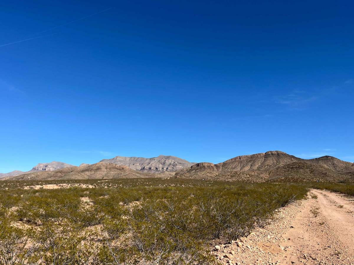 Bottletree Loop photo 5