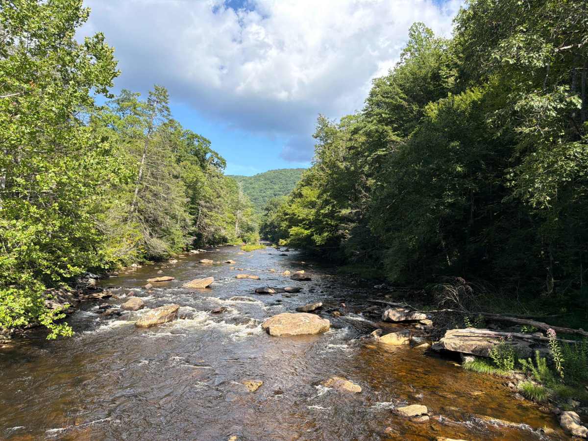 Cranberry River Road - CFR 76 trail photo