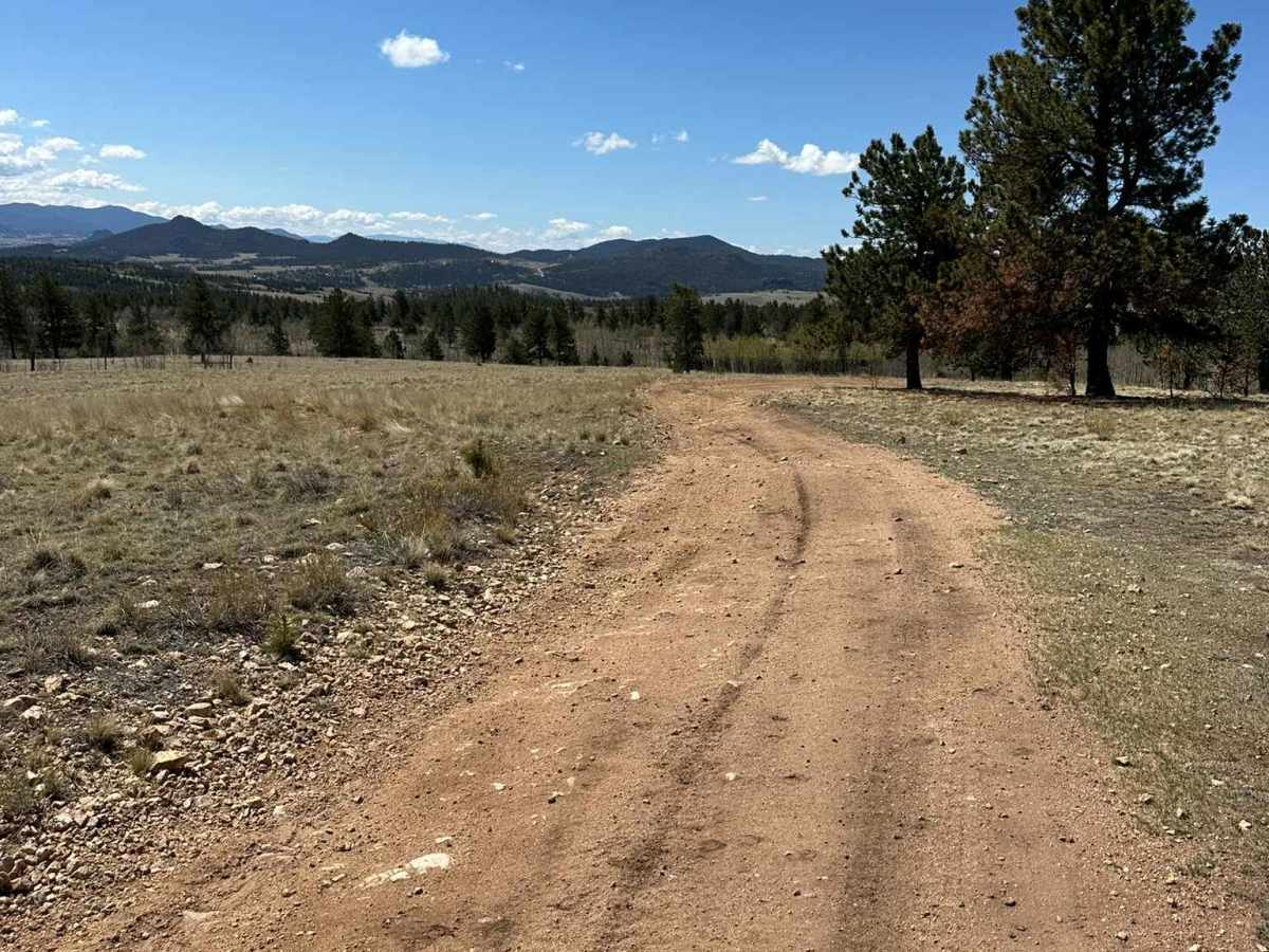 Cross Country Road photo 5