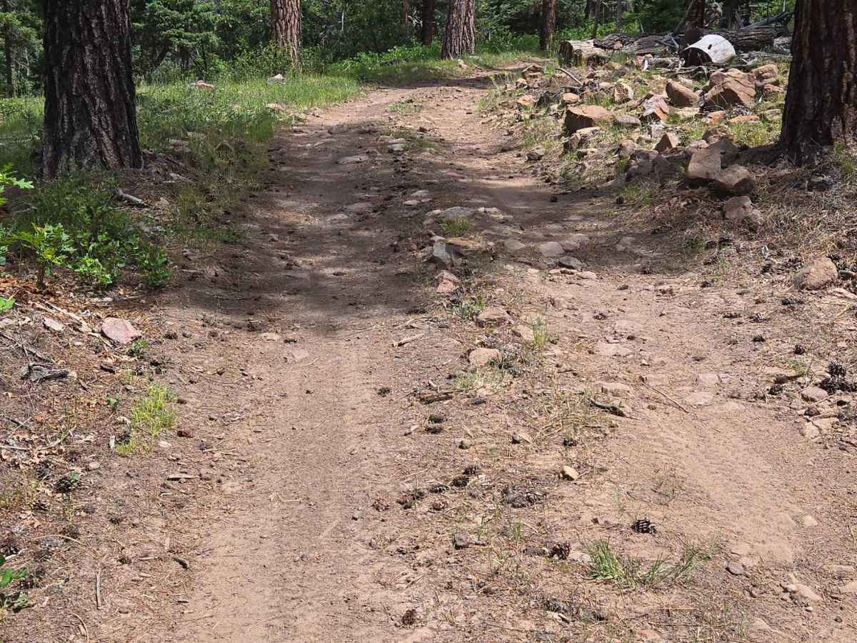 Turkey Creek A Road - FS 615 photo 4