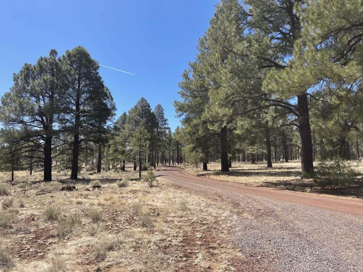 Double Tank Trailhead photo 2