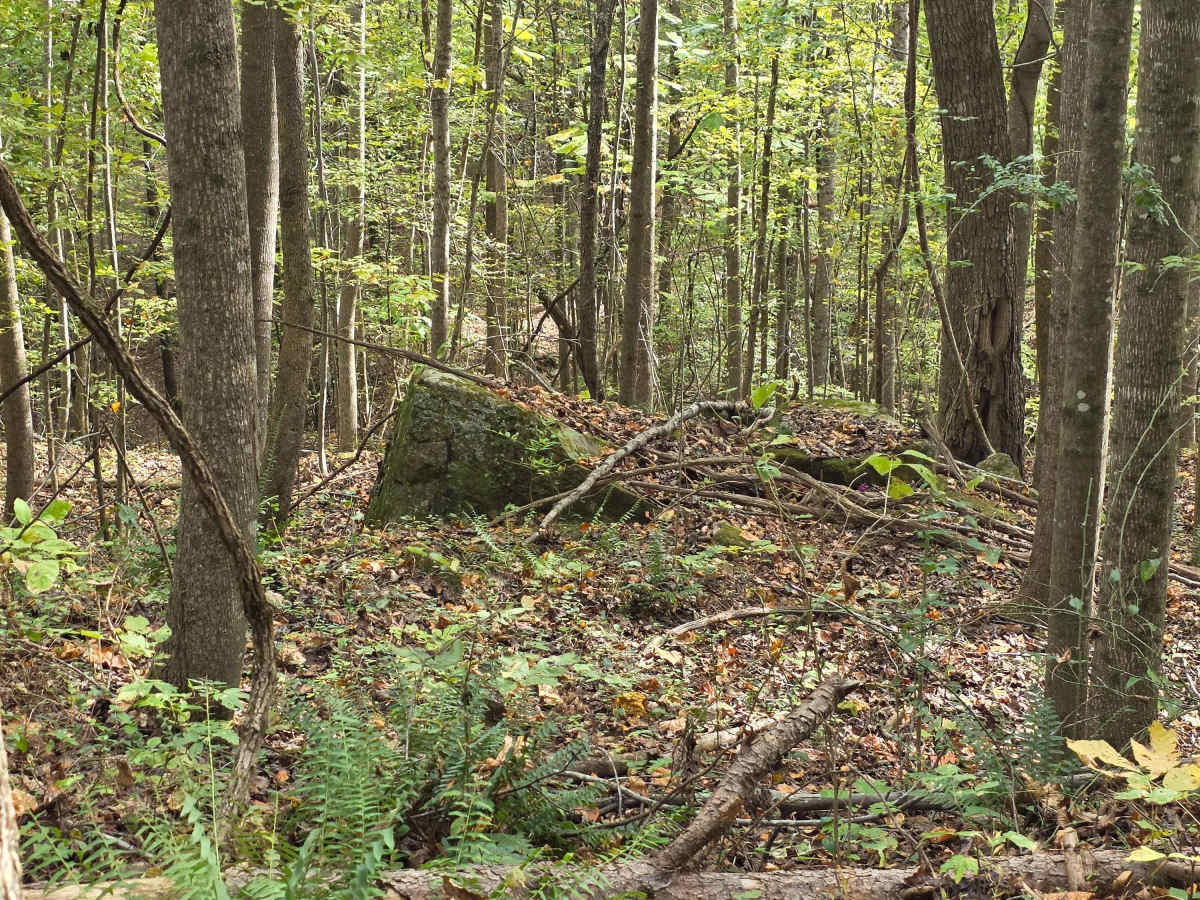 Rock Wall Trail photo 5