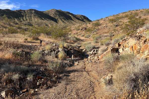 Dry Wash Trail