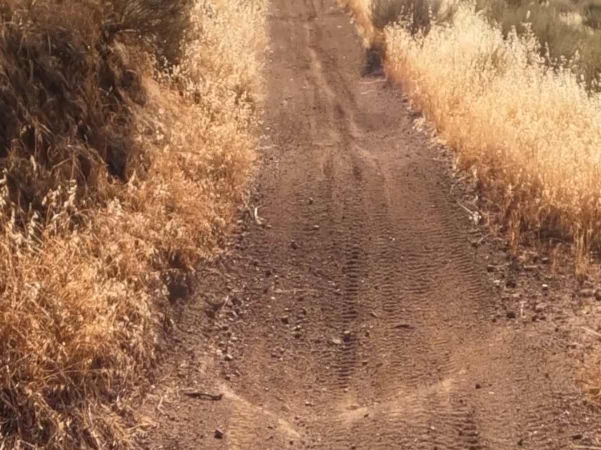 East Serpentine Trail  photo 2