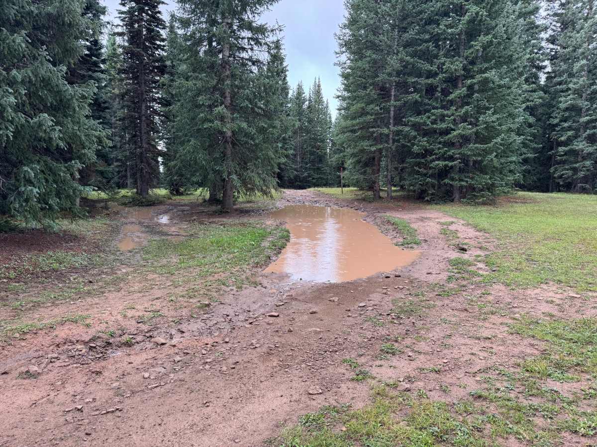 Turkey Creek Road photo 3