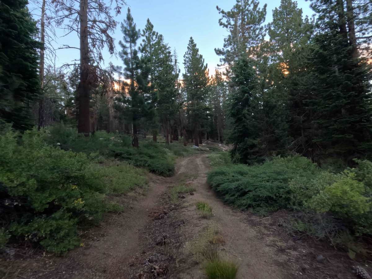 Willow Creek Spur E - FS 31051E trail photo