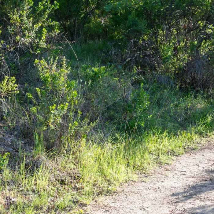 Near Fremont Peak Hike