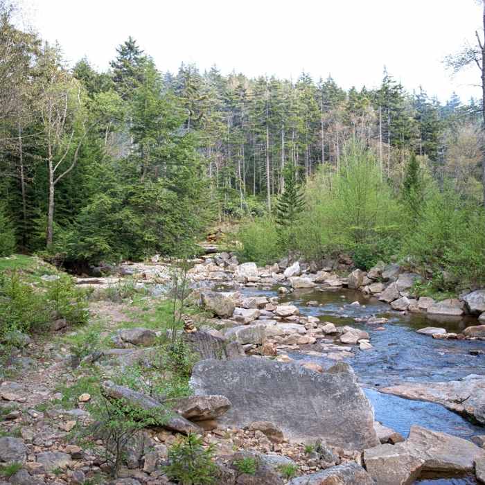 Near Red Creek Trail