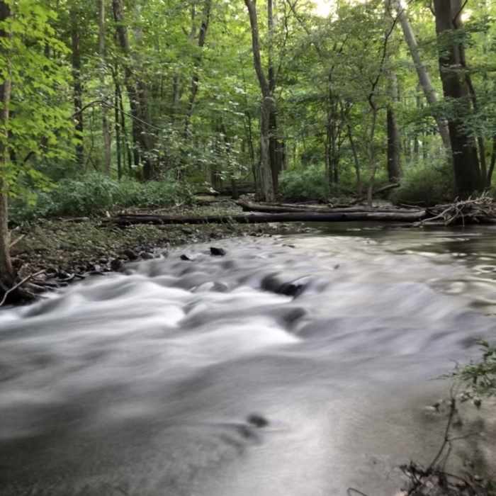Near Bishop Estate East Loop Trail (Red)