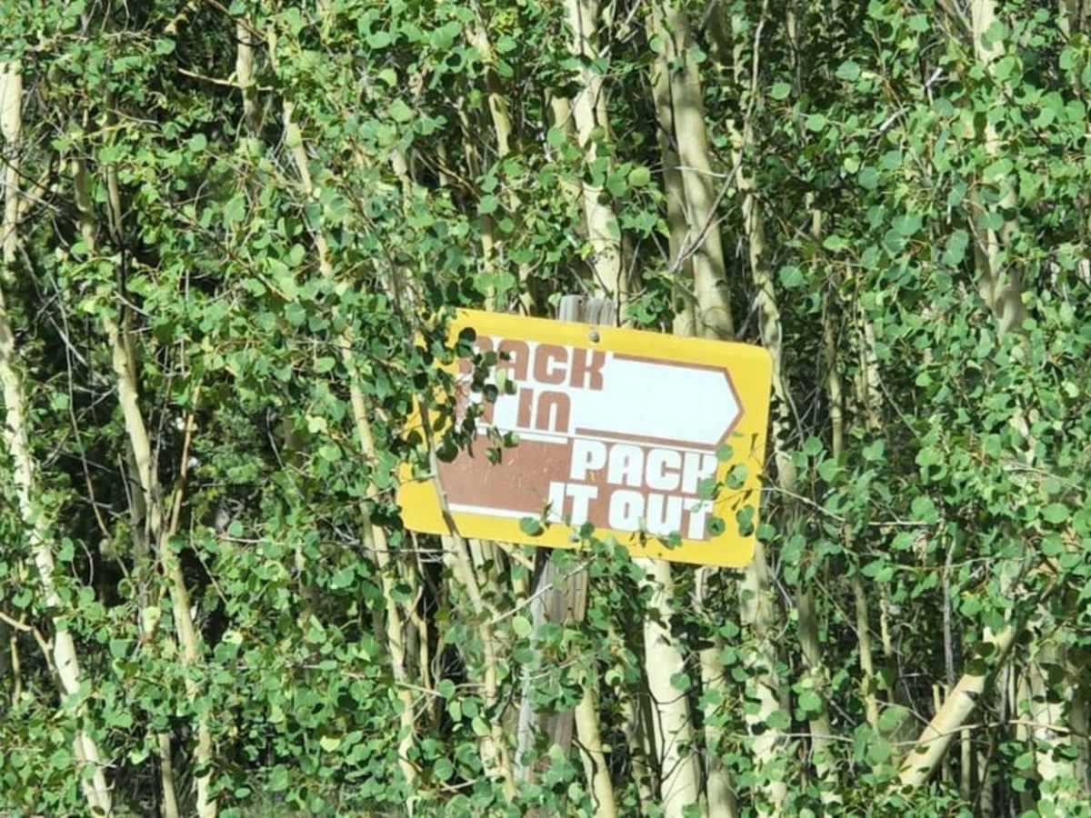 Long Park trail photo