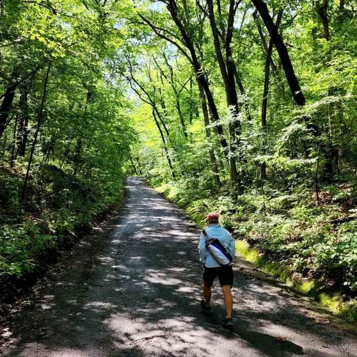 Near Purple Trail
