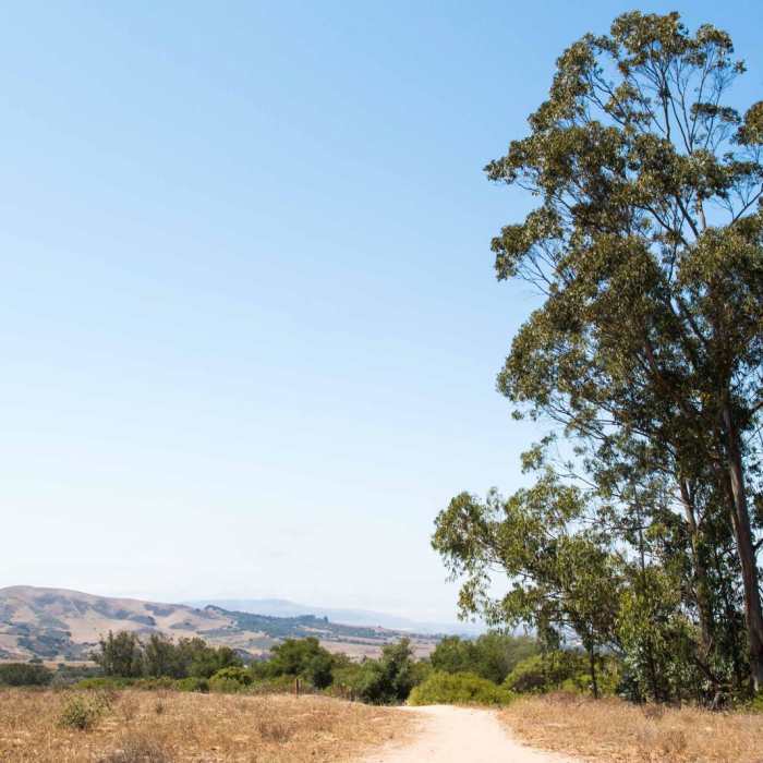 Near Orcutt Hills Trail