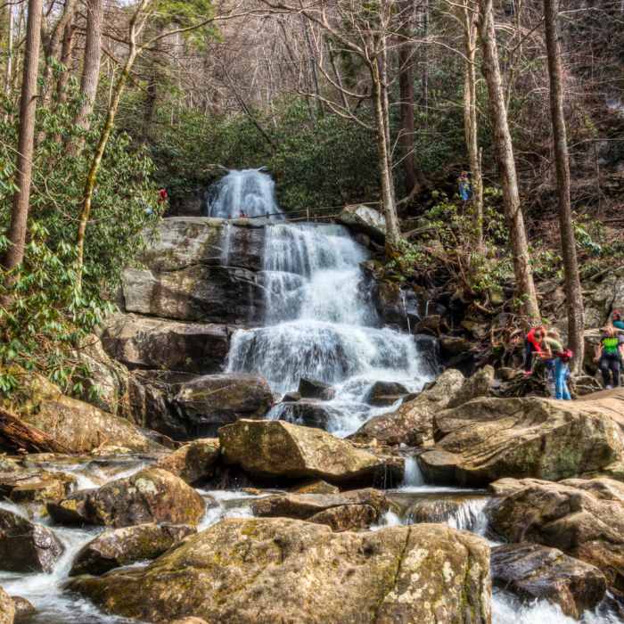 Great Smoky Mountains National Park - Laurel Falls Near Laurel Falls to Cove Mountain Fire Tower