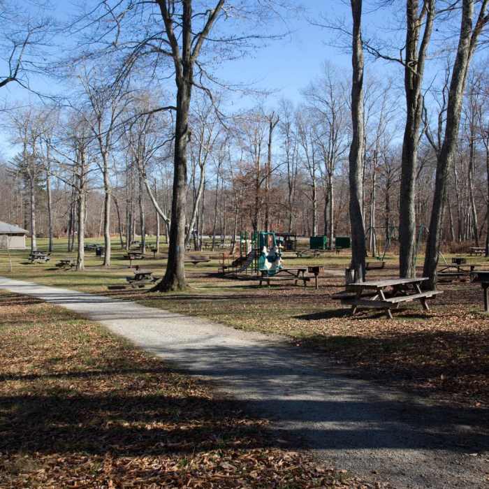 Near Lakeside Trail Near Lakeside Trail