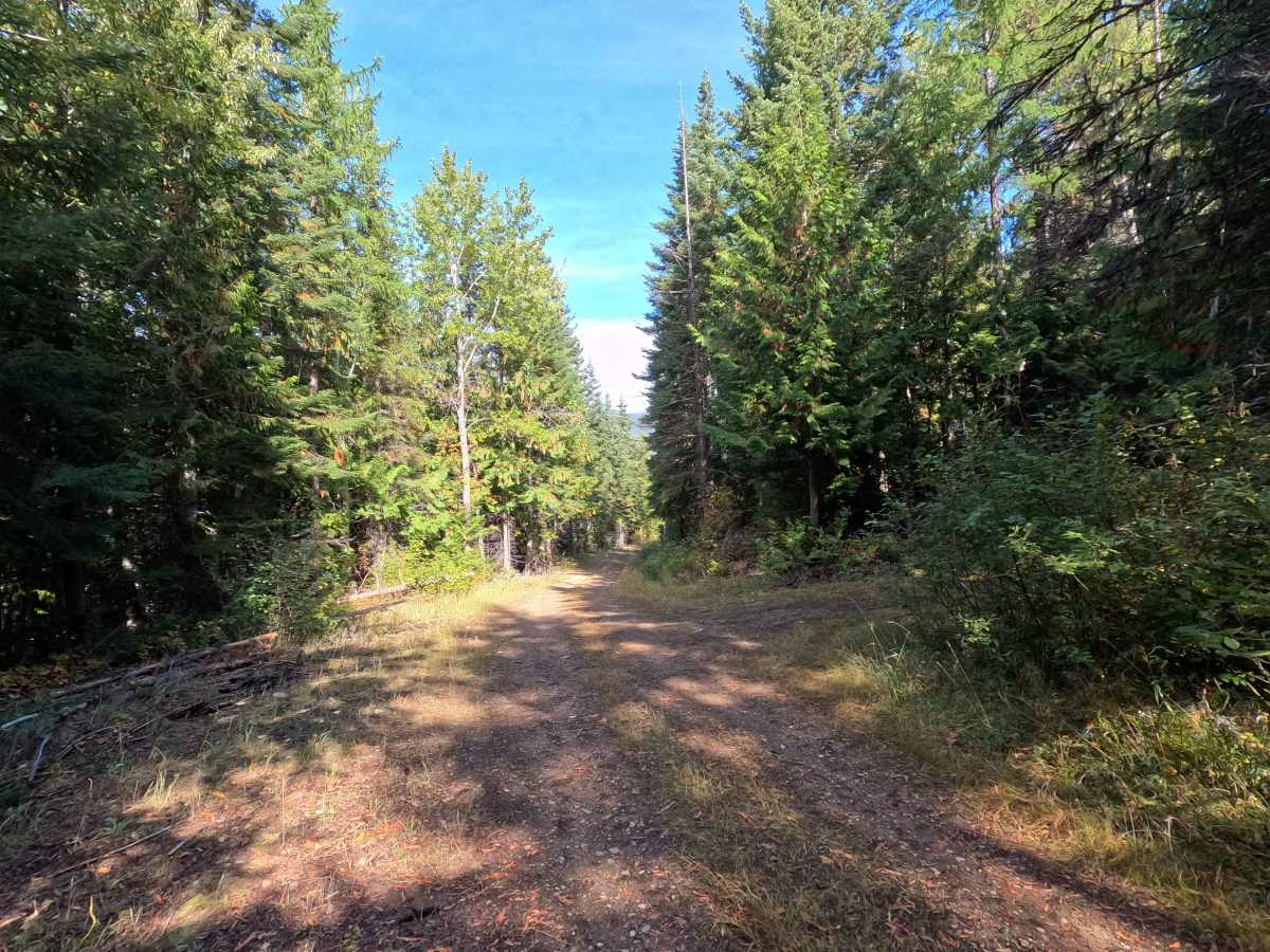 John’s Creek - FS 2200500 photo 6