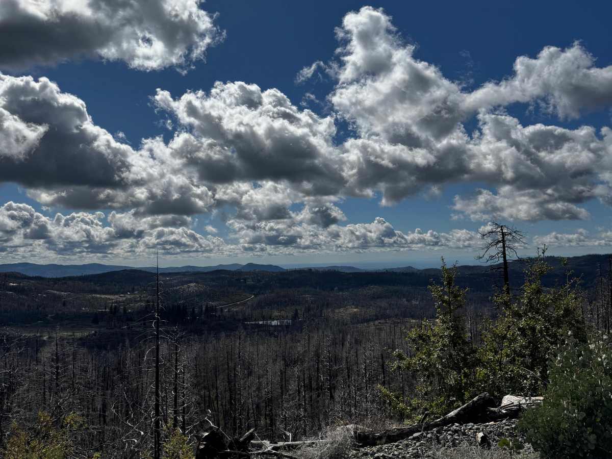 Martin Creek photo 5