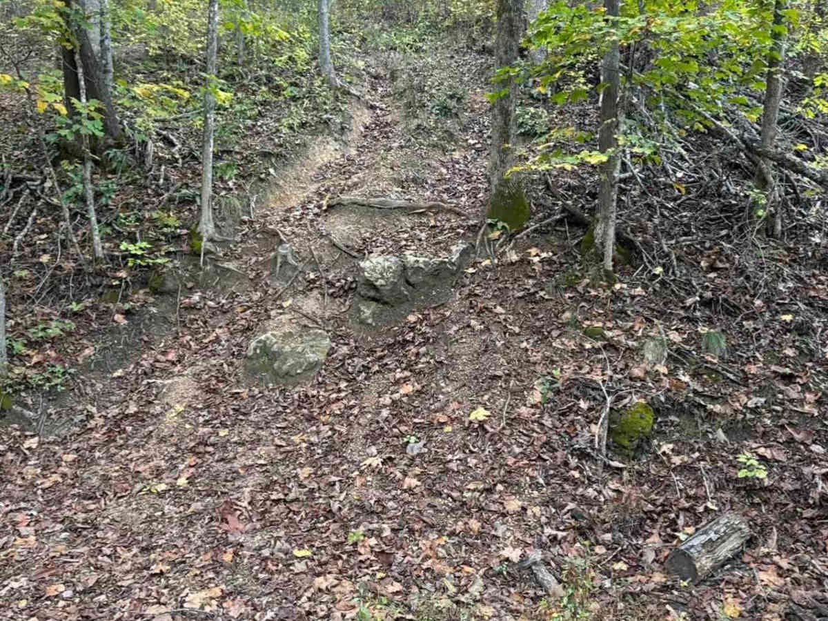 4 of 5 trail photo