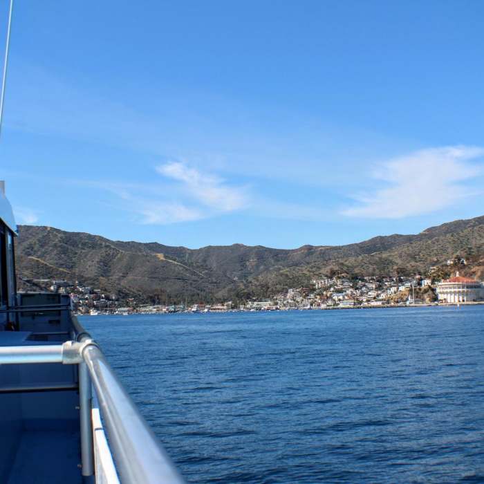 Near Trans Catalina Trail (TCT) Near Trans Catalina Trail (TCT)