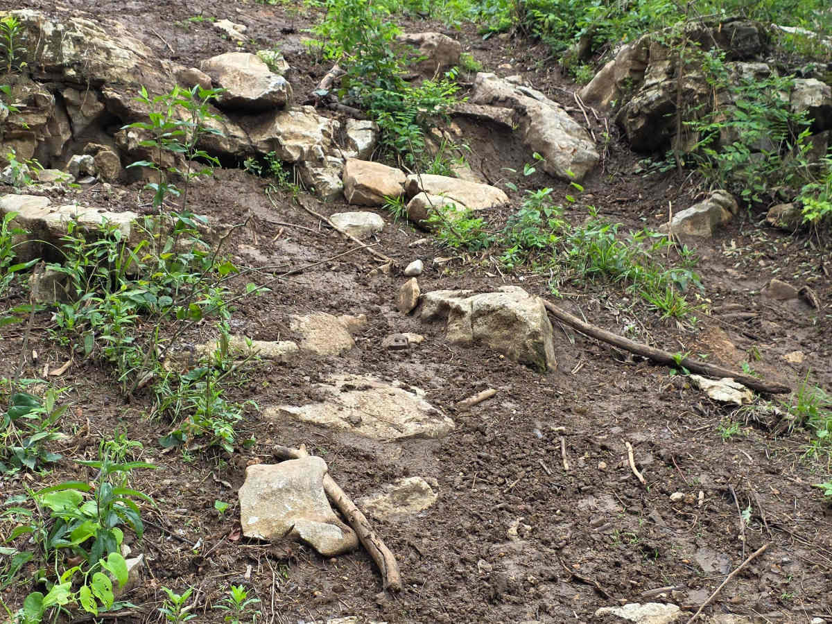 East View Ledges photo 6