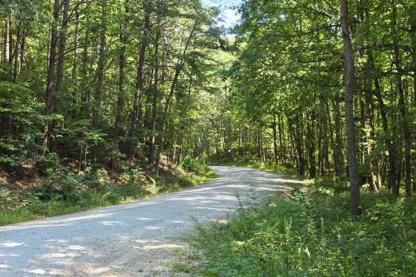 Whetstone Road - FS 721