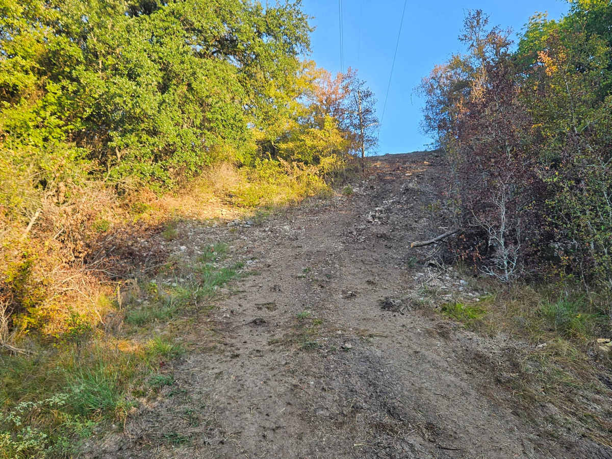 Rattle Snake Overlook photo 5
