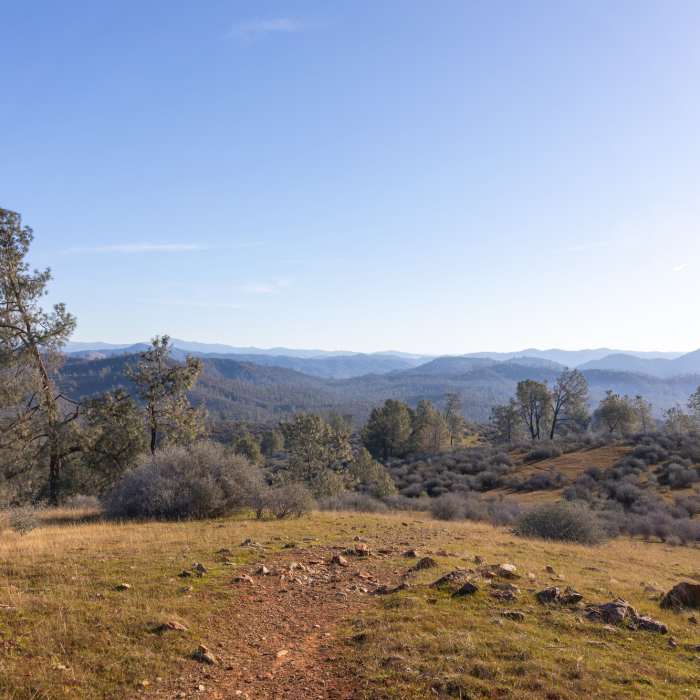 Near Overlook Loop Trail