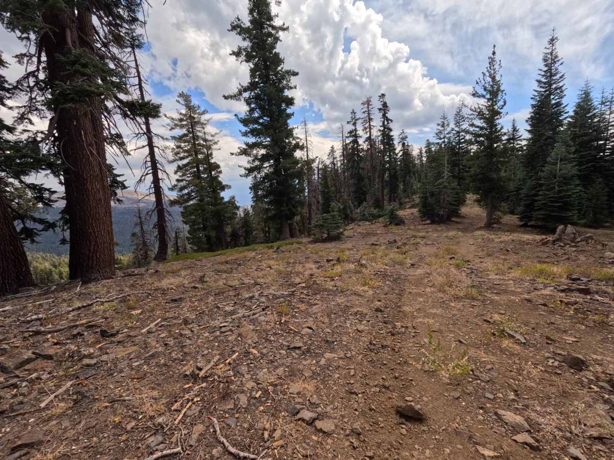 Quartz Mountain Top - FS 5S040XD photo 3
