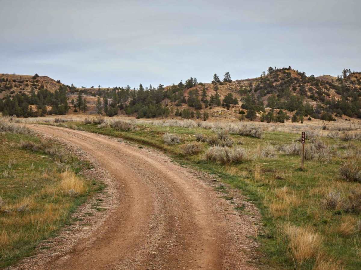 Reanus Cone Trail Part 1 trail photo