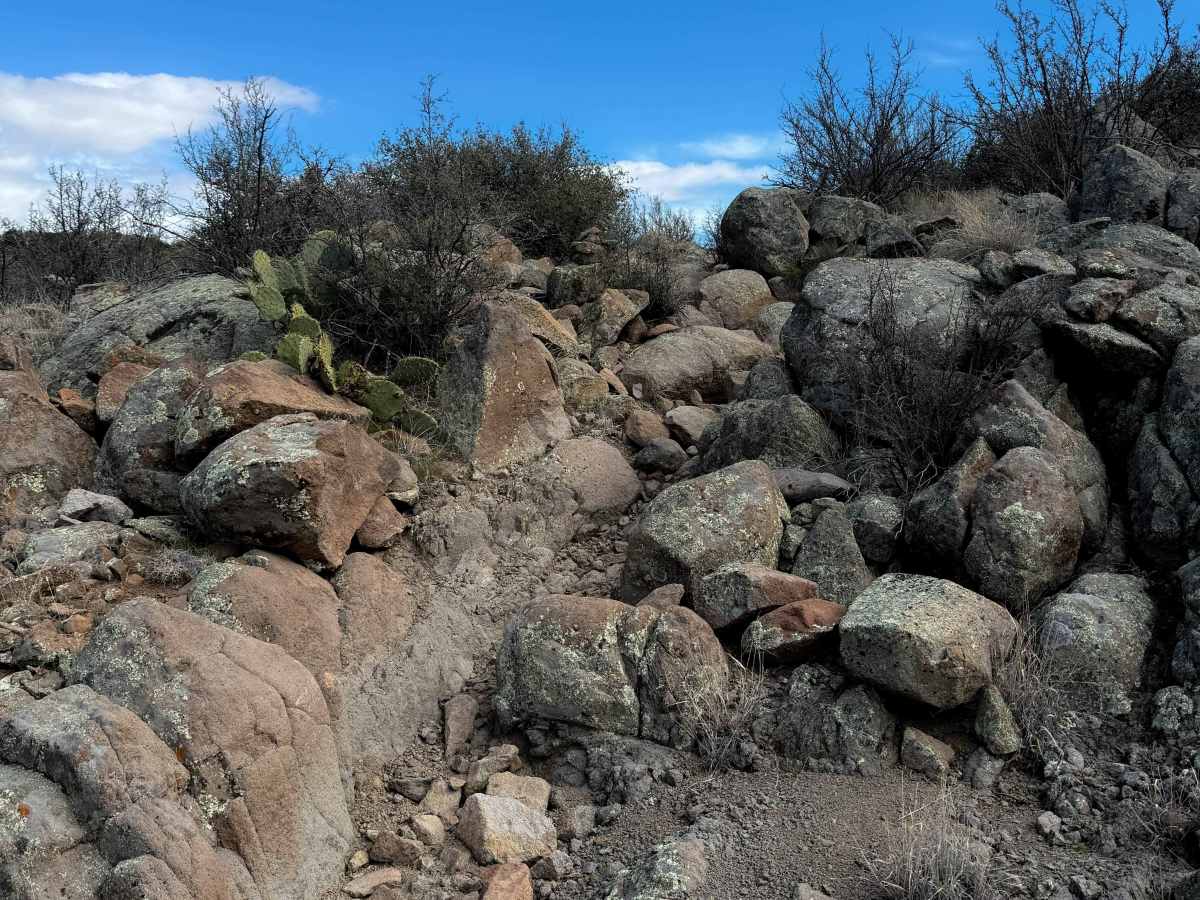 Coldwater Trail #21 (Singletrack)   trail photo