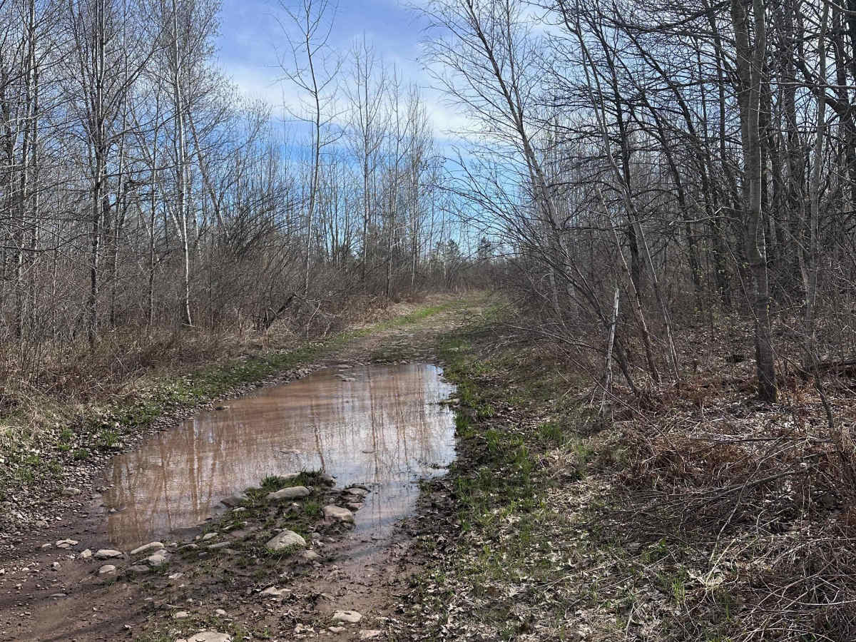 Mallard Lake Spur B photo 4