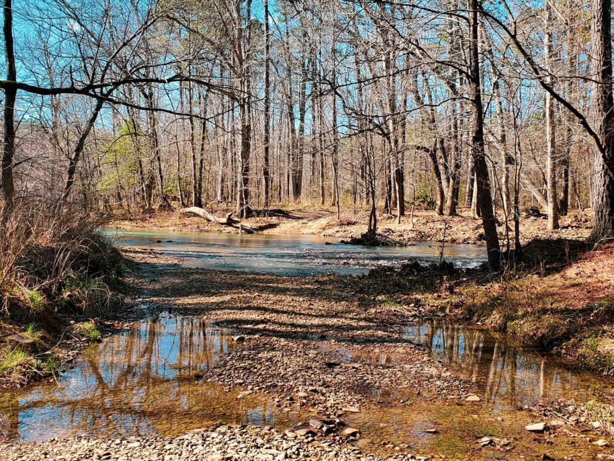 Ritter Road photo 5