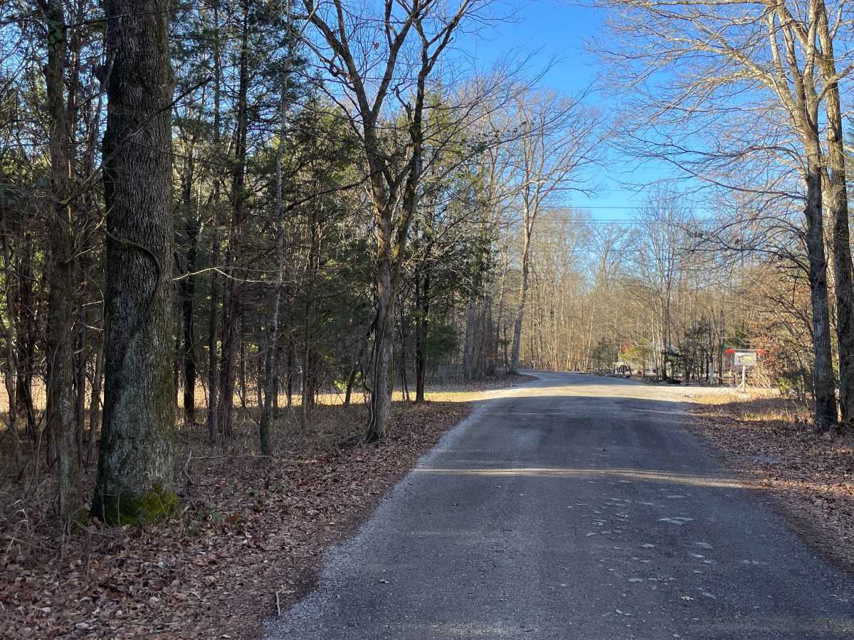 Cheek's Bend Road photo 2