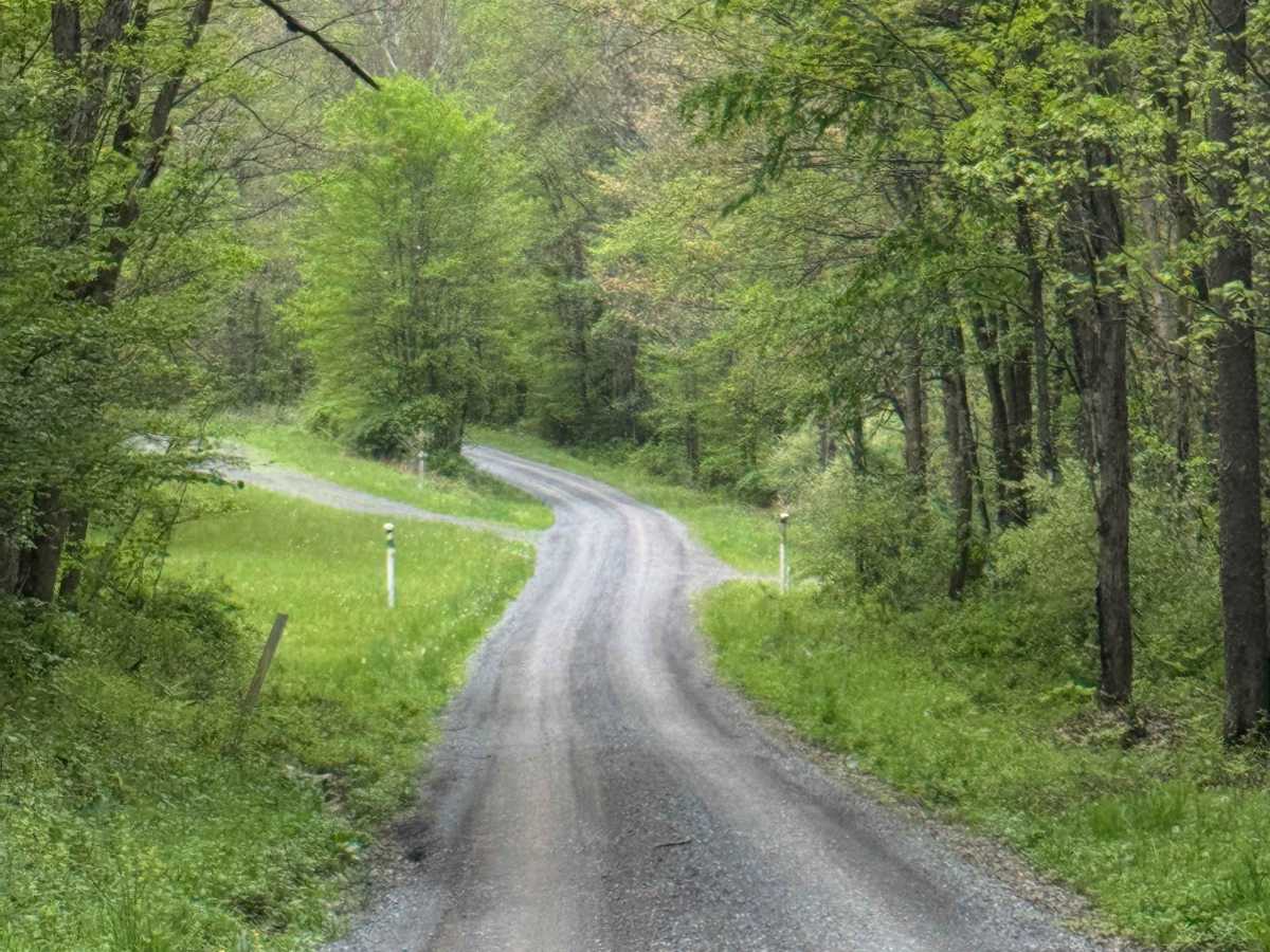 Hensel Fork Road photo 6