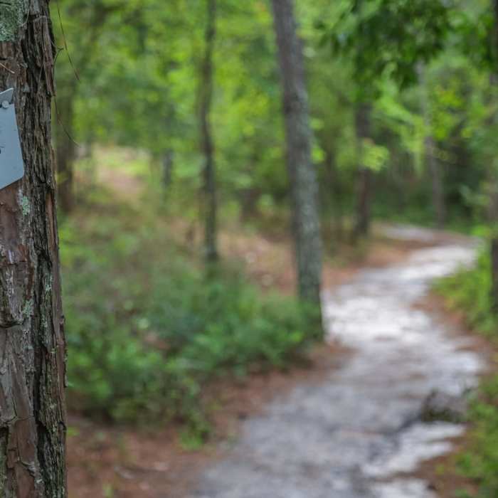 Near Sandhills Hiking Trail Near Sandhills Hiking Trail