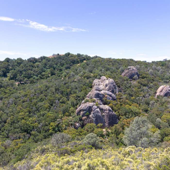 Near Madrone Canyon Trail