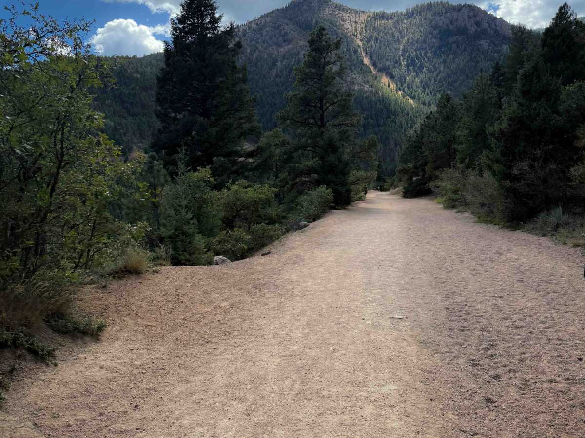 Gold Camp Road - FS 626 photo 4