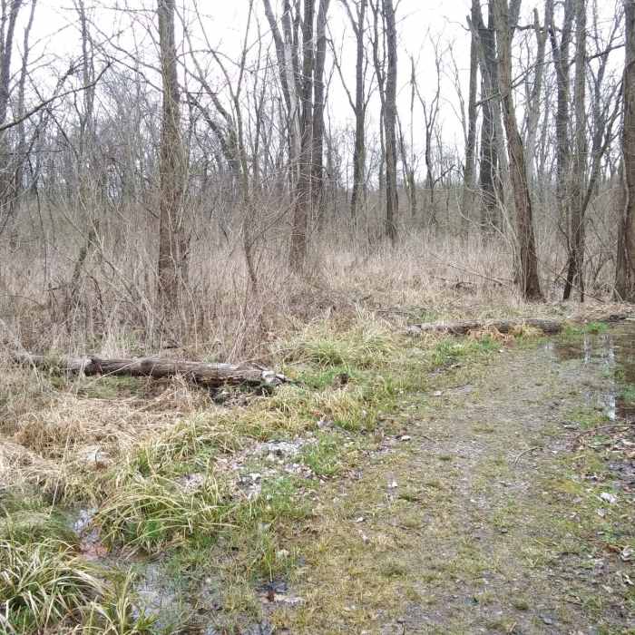 Near Valle View Reserve