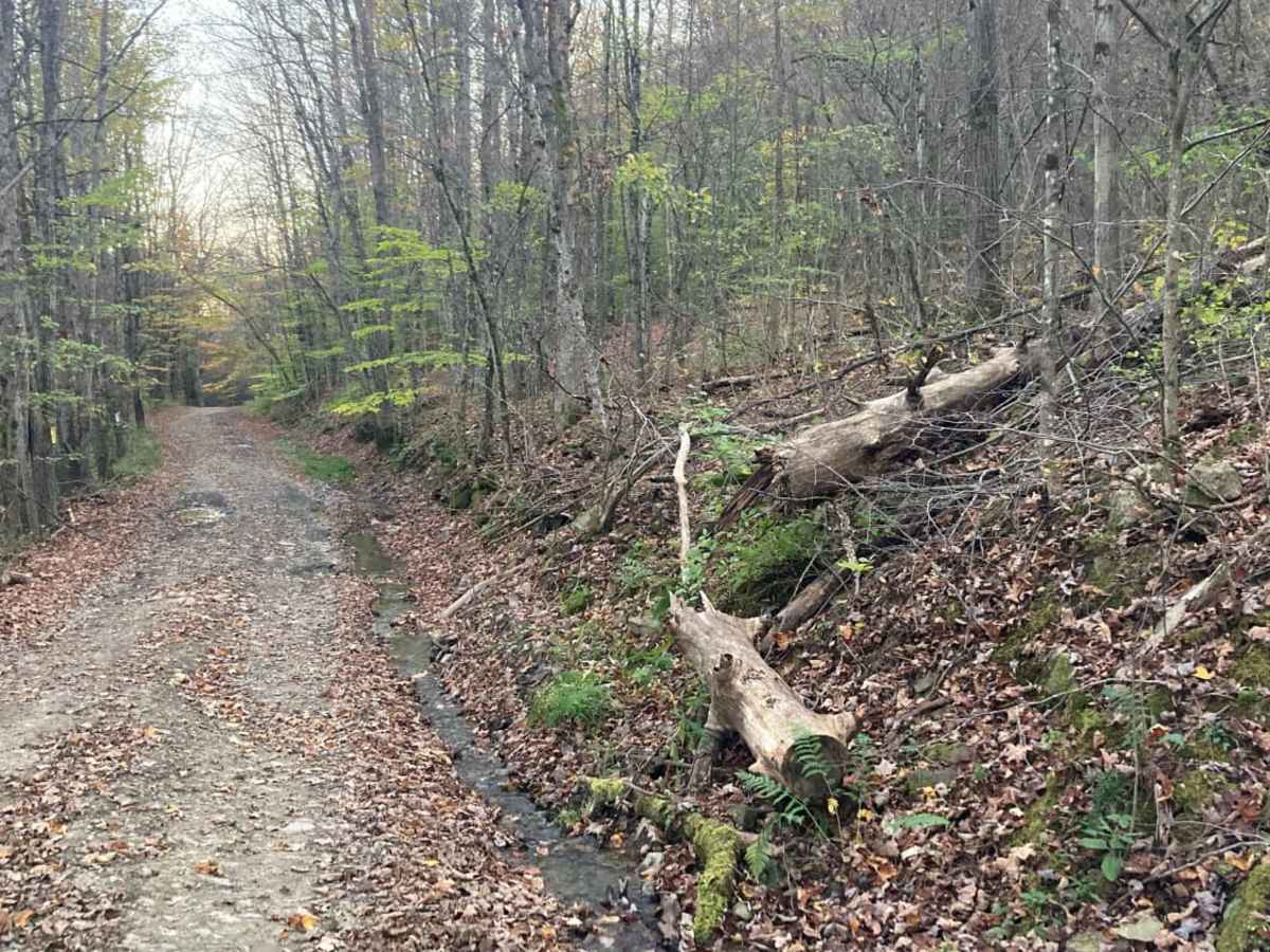 Borden Hollow Road photo 3
