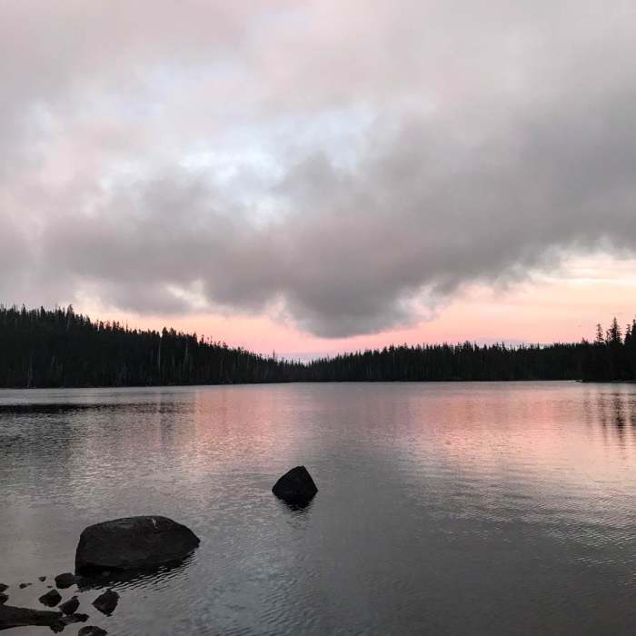 Near Pacific Crest Trail: Oregon Section E - Highway 58 to Highway 242