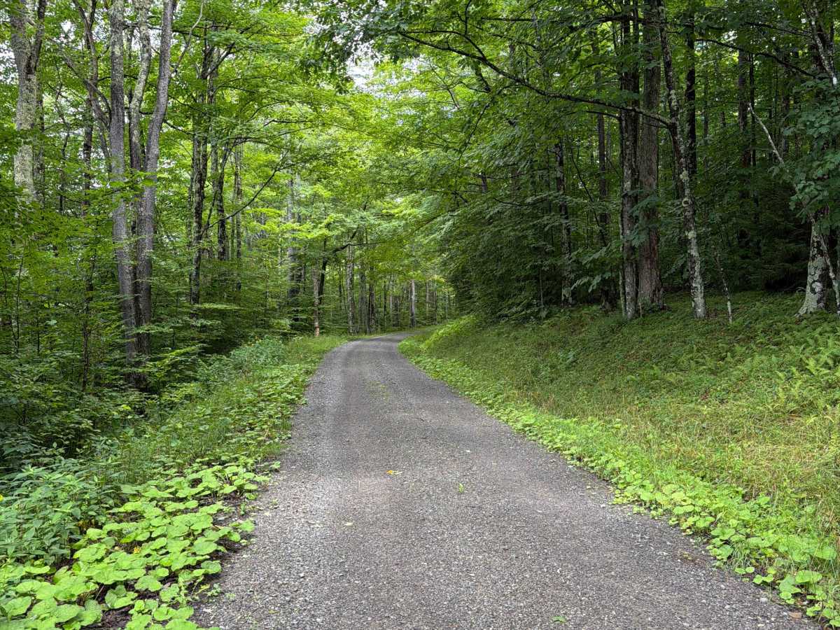 Dogway South - CFR 232 trail photo