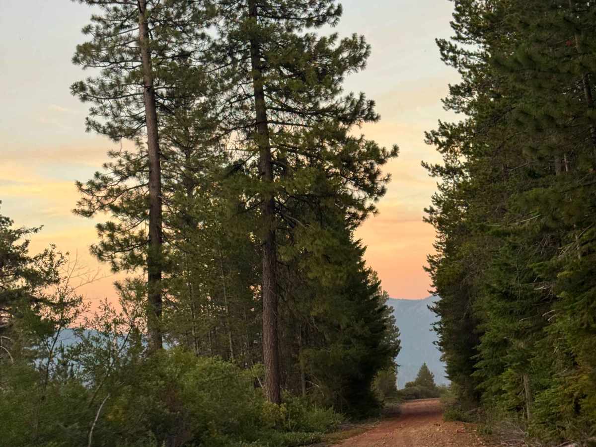 Cabot Lake Trail photo 3