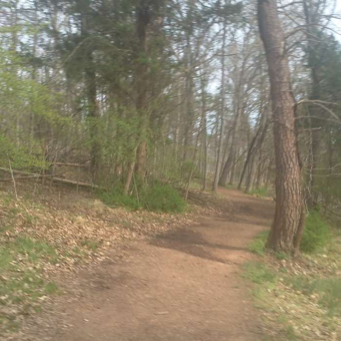 Near Chinn Ridge Trail