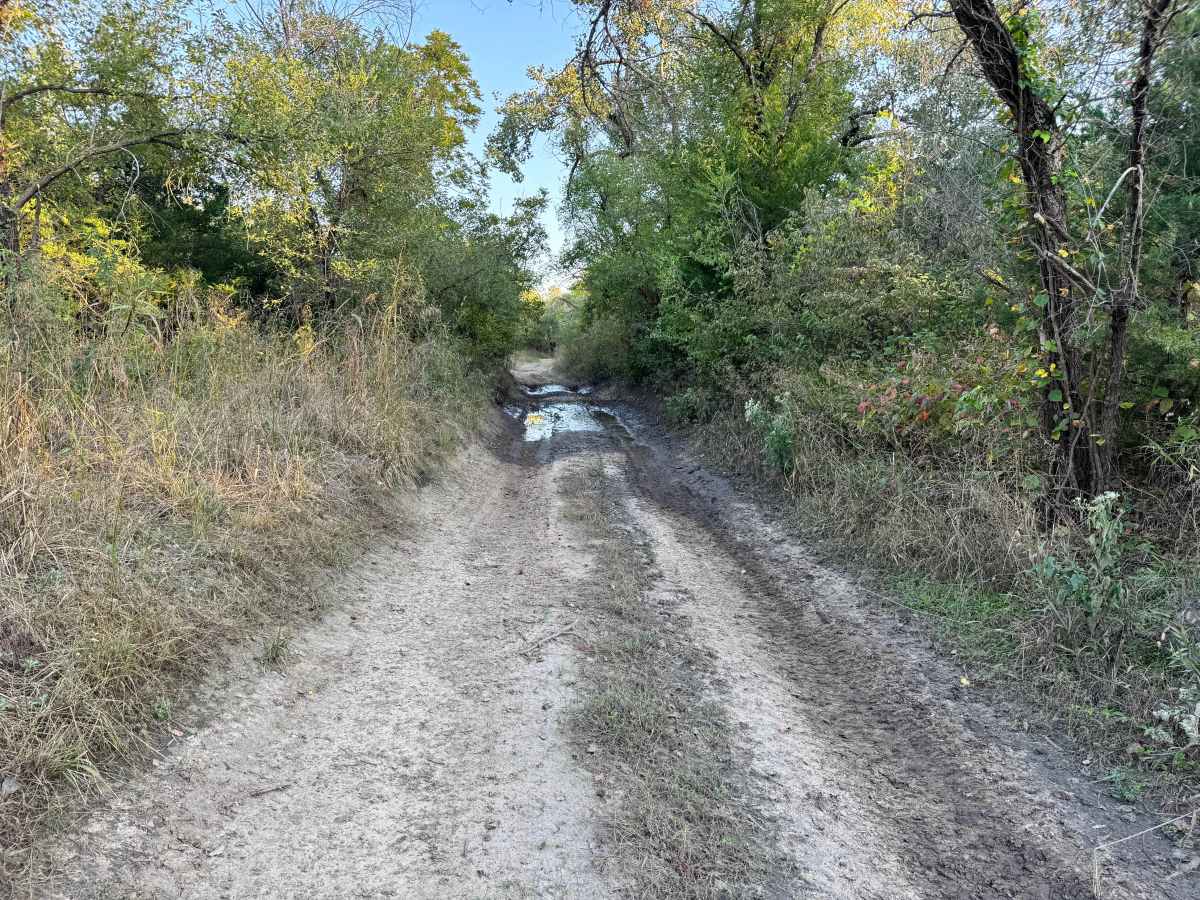 Sandy Bottom Boulevard photo 4