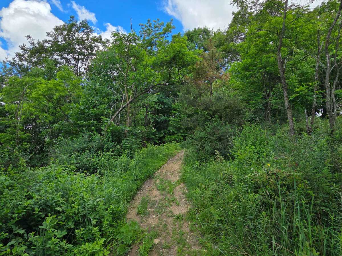 Single Track J photo 4