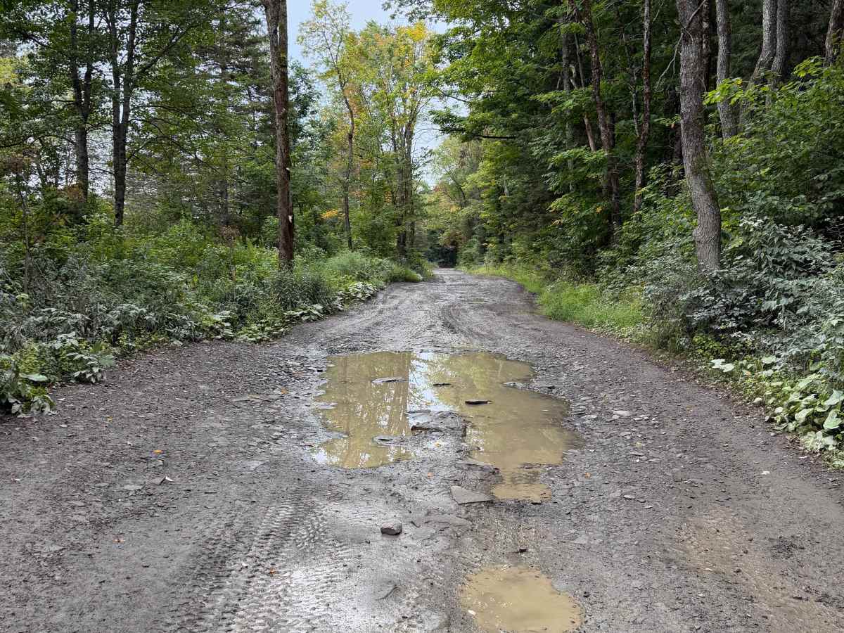 Rodgers Crossing Road photo 4